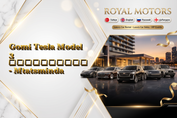 Gomi Tesla Model 3 გაქირავება - Mtatsminda