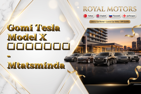 Gomi Tesla Model X გაყიდვა - Mtatsminda
