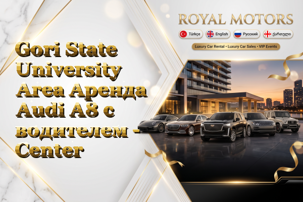 Gori State University Area Аренда Audi A8 с водителем - Center