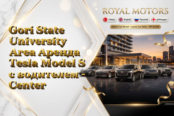 Gori State University Area Аренда Tesla Model S с водителем - Center