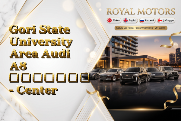 Gori State University Area Audi A8 გაყიდვა - Center