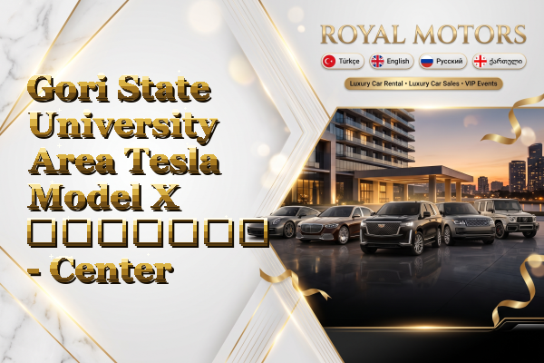 Gori State University Area Tesla Model X გაყიდვა - Center
