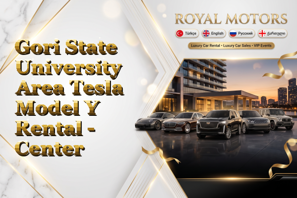 Gori State University Area Tesla Model Y Rental - Center