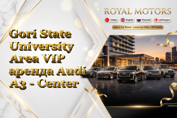 Gori State University Area VIP аренда Audi A3 - Center
