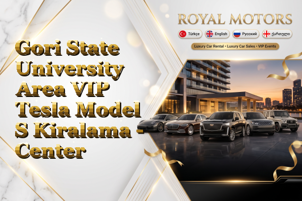 Gori State University Area VIP Tesla Model S Kiralama - Center