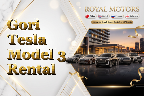 Gori Tesla Model 3 Rental