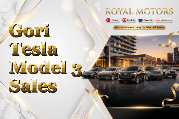 Gori Tesla Model 3 Sales