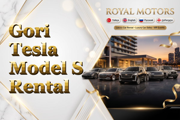 Gori Tesla Model S Rental