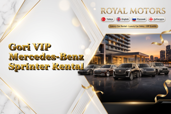 Gori VIP Mercedes-Benz Sprinter Rental