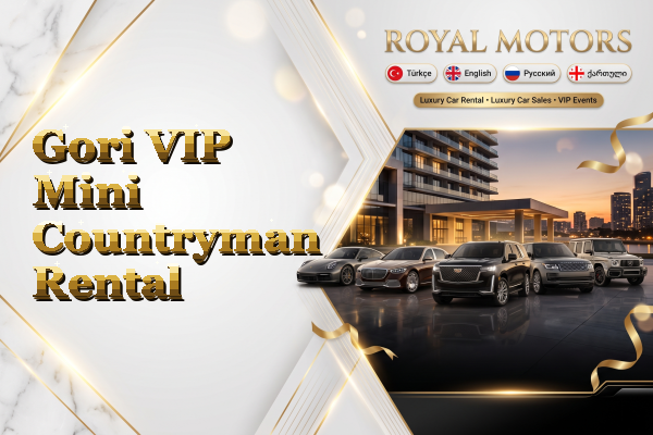 Gori VIP Mini Countryman Rental