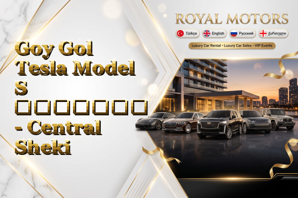 Goy Gol Tesla Model S გაყიდვა - Central Sheki
