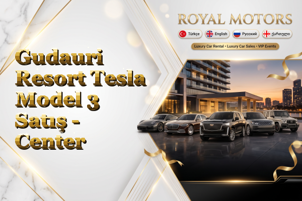 Gudauri Resort Tesla Model 3 Satış - Center