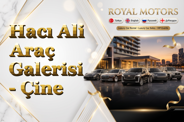 Hacı Ali Araç Galerisi - Çine