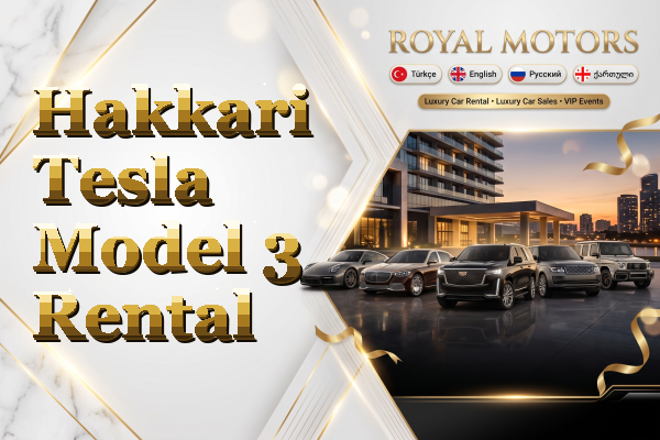 Hakkari Tesla Model 3 Rental