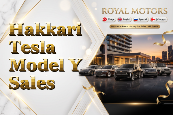 Hakkari Tesla Model Y Sales