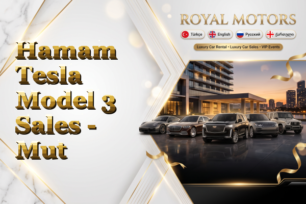 Hamam Tesla Model 3 Sales - Mut