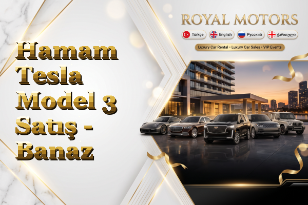 Hamam Tesla Model 3 Satış - Banaz