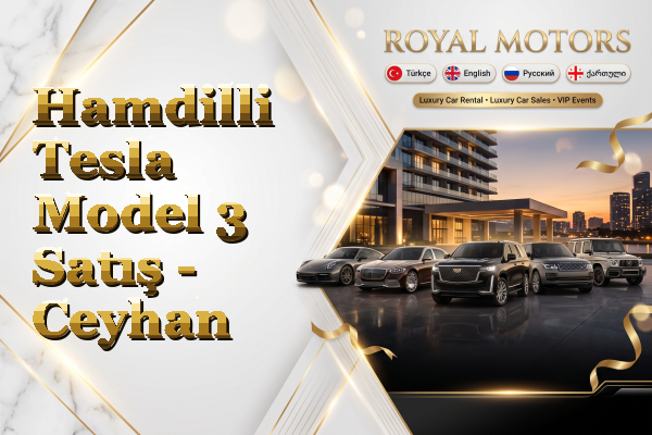 Hamdilli Tesla Model 3 Satış - Ceyhan
