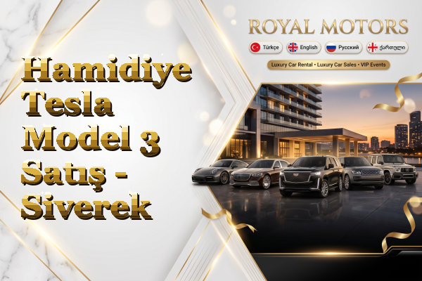 Hamidiye Tesla Model 3 Satış - Siverek