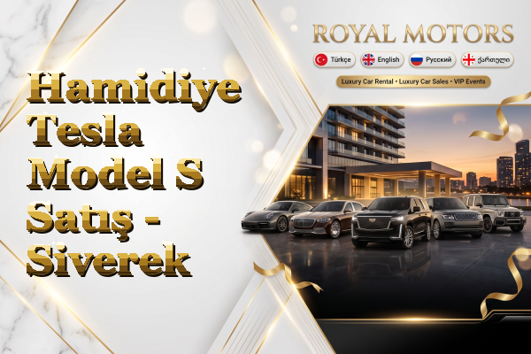 Hamidiye Tesla Model S Satış - Siverek