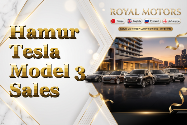 Hamur Tesla Model 3 Sales