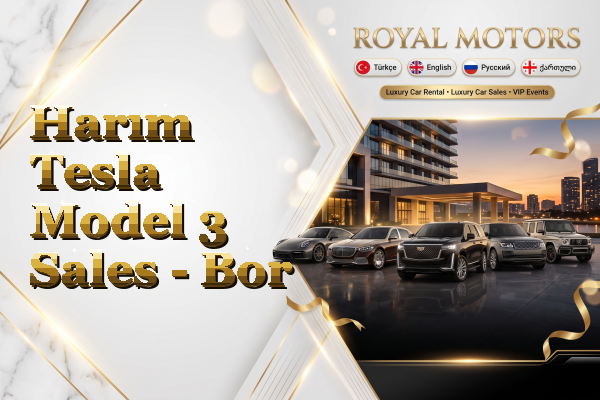 Harım Tesla Model 3 Sales - Bor