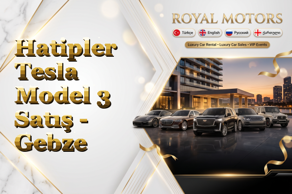 Hatipler Tesla Model 3 Satış - Gebze