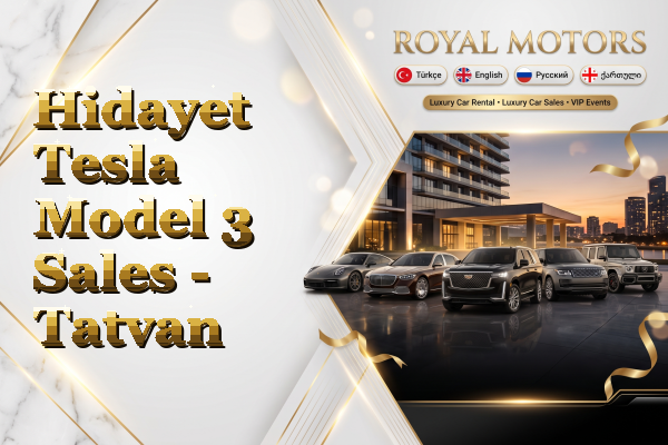Hidayet Tesla Model 3 Sales - Tatvan