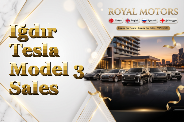 Iğdır Tesla Model 3 Sales