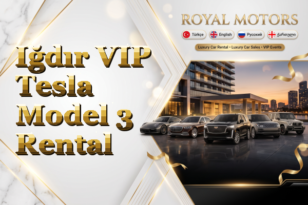 Iğdır VIP Tesla Model 3 Rental