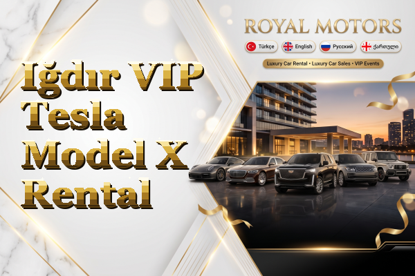 Iğdır VIP Tesla Model X Rental