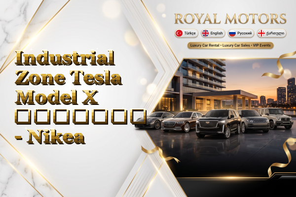 Industrial Zone Tesla Model X გაყიდვა - Nikea