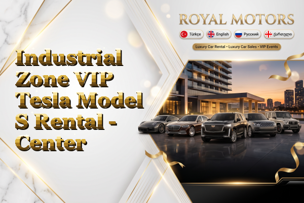 Industrial Zone VIP Tesla Model S Rental - Center