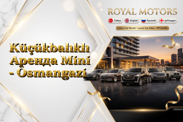 Küçükbalıklı Аренда Mini - Osmangazi