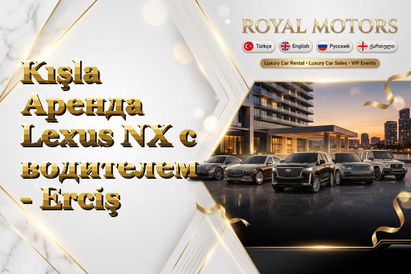 Kışla Аренда Lexus NX с водителем - Erciş