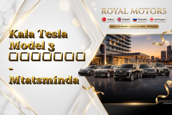 Kala Tesla Model 3 გაყიდვა - Mtatsminda