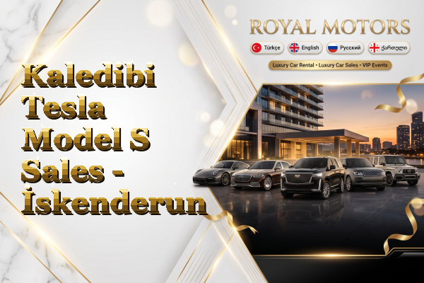 Kaledibi Tesla Model S Sales - İskenderun