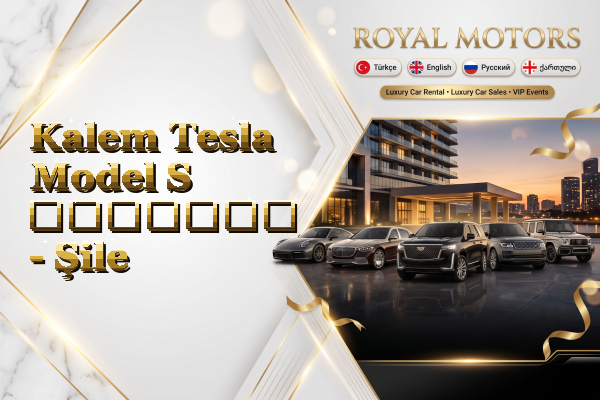 Kalem Tesla Model S გაყიდვა - Şile