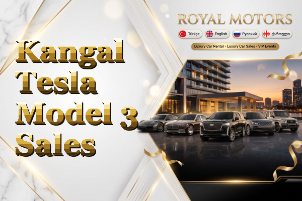 Kangal Tesla Model 3 Sales