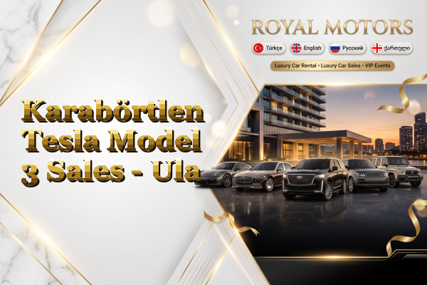 Karabörtlen Tesla Model 3 Sales - Ula