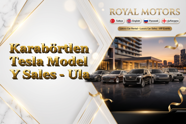 Karabörtlen Tesla Model Y Sales - Ula