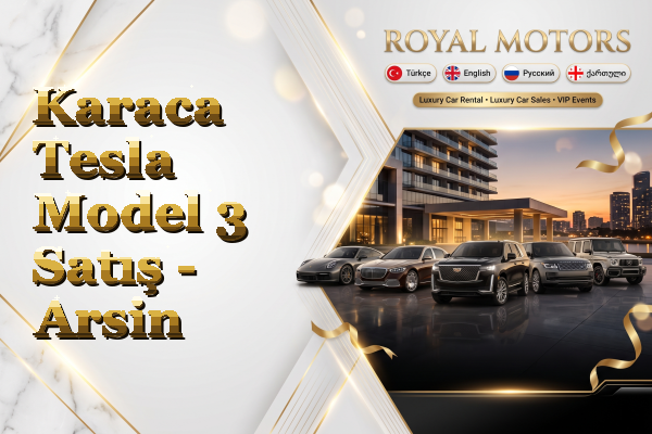 Karaca Tesla Model 3 Satış - Arsin