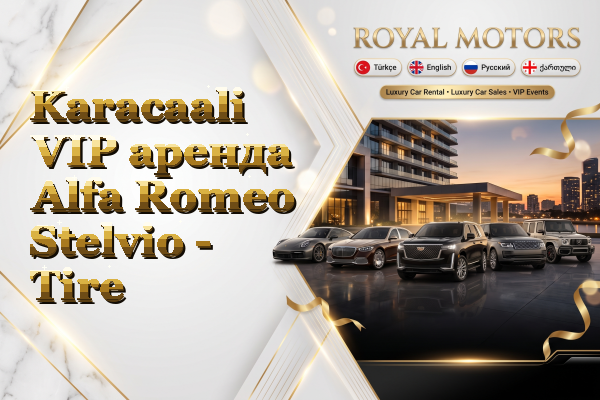 Karacaali VIP аренда Alfa Romeo Stelvio - Tire