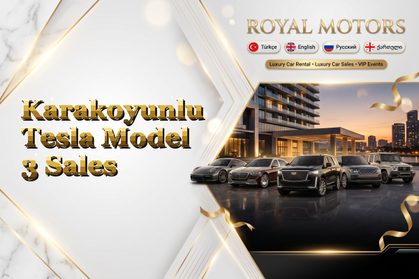 Karakoyunlu Tesla Model 3 Sales