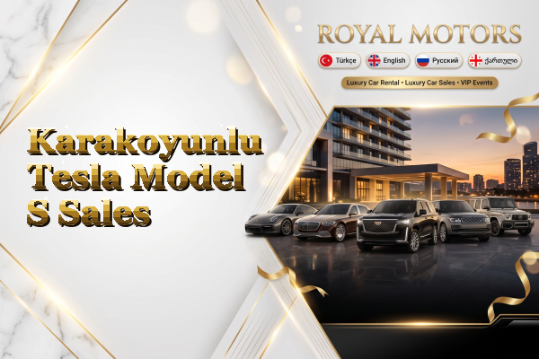 Karakoyunlu Tesla Model S Sales