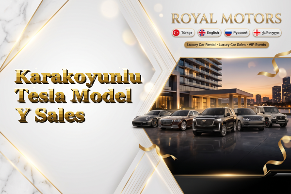 Karakoyunlu Tesla Model Y Sales
