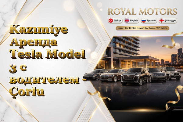 Kazımiye Аренда Tesla Model 3 с водителем - Çorlu