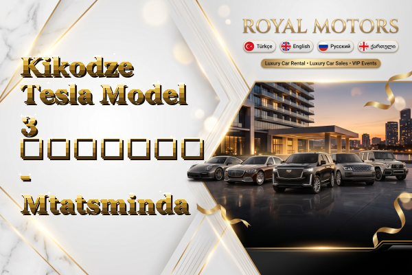 Kikodze Tesla Model 3 გაყიდვა - Mtatsminda