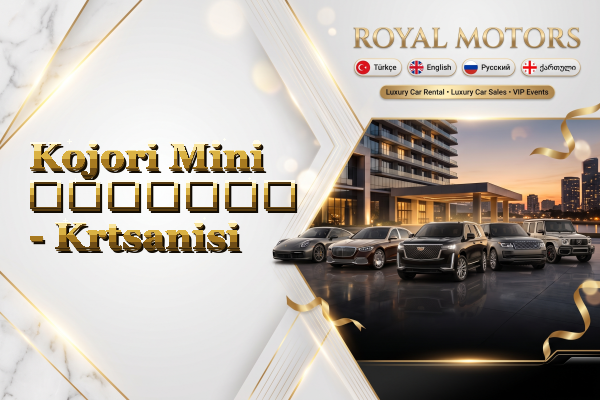 Kojori Mini გაყიდვა - Krtsanisi
