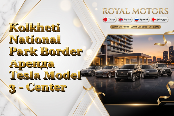 Kolkheti National Park Border Аренда Tesla Model 3 - Center